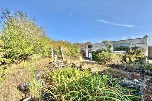 Photo 11- click for photo gallery